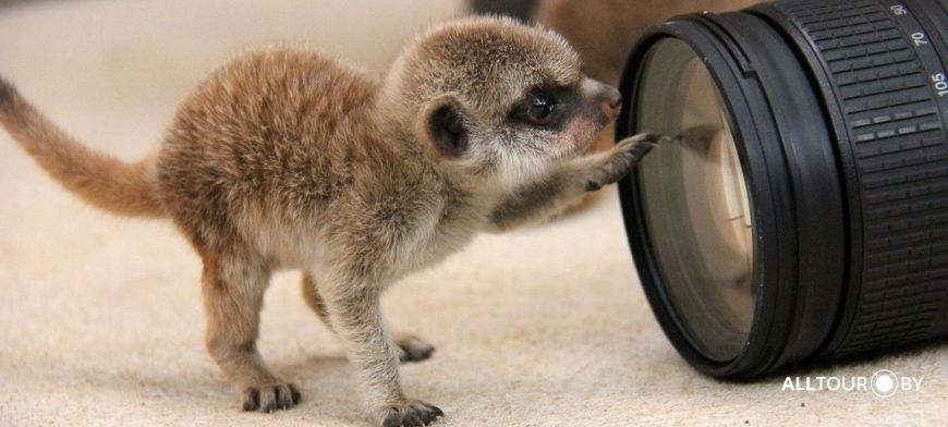 Путешествие по США