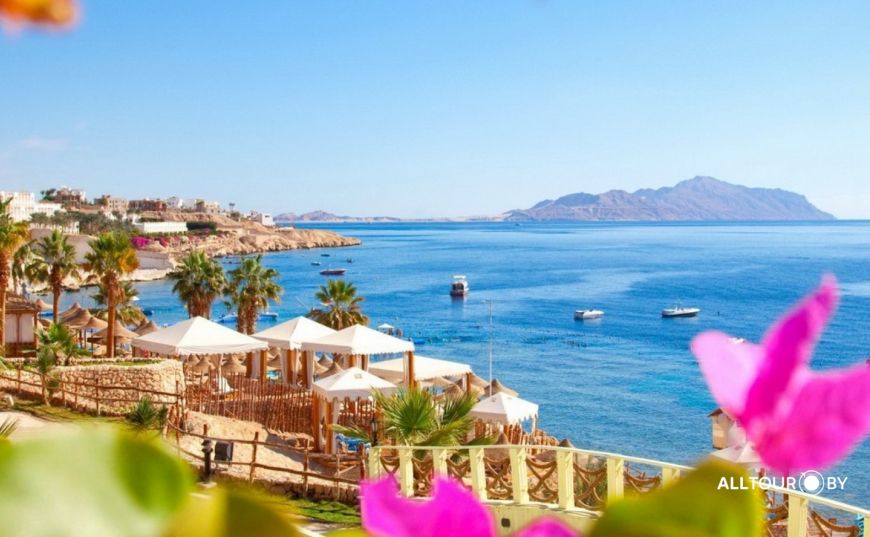 Египет из Минска