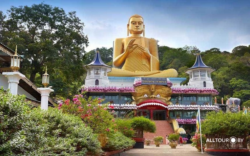 Канди Канди