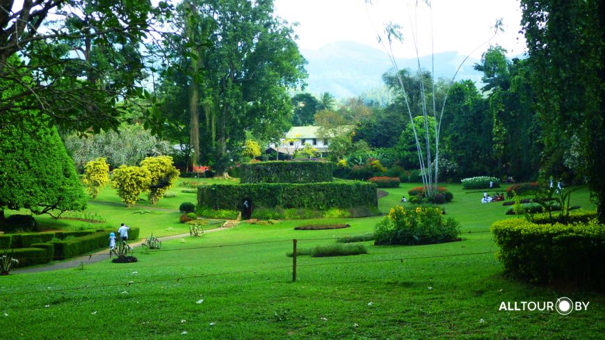 Перадения Перадения