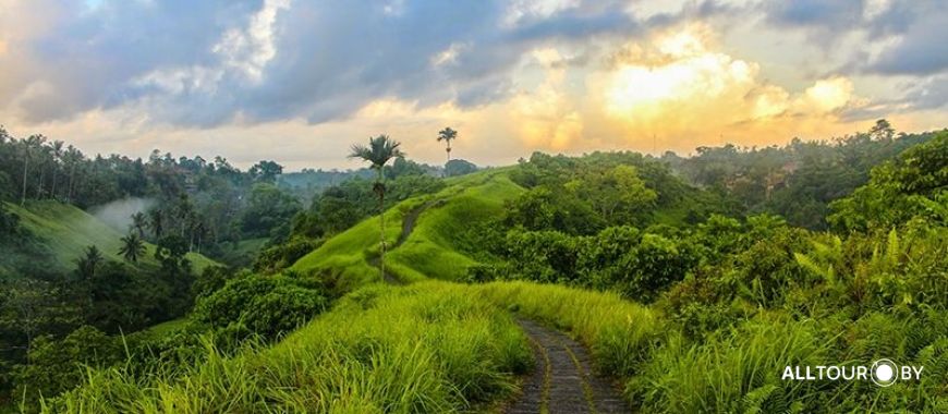 Тропа Художников Тропа Художников