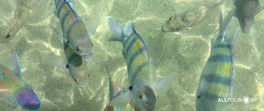 Туры в Египет в ноябре