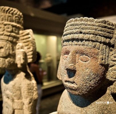 Музей антропологии Музей антропологии