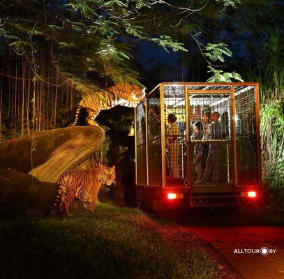 Ночное сафари в Сингапуре Ночное сафари в Сингапуре с Alltour.by
