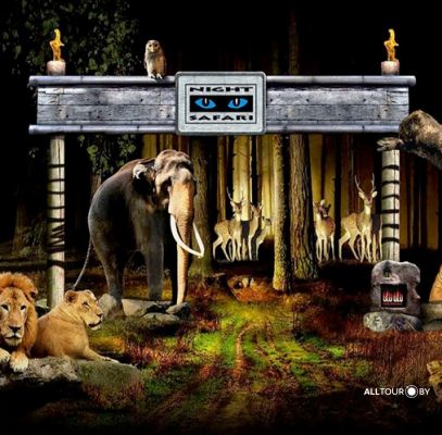 Ночное сафари. Отдых с Alltour.by Ночное сафари. Отдых с Alltour.by