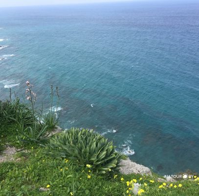 Природа Северного Кипра