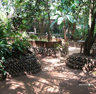 Сад специй Сад специй