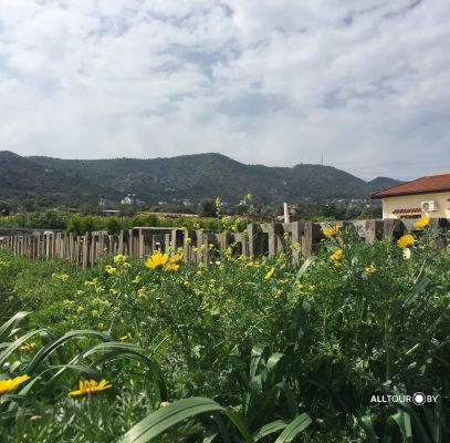 Северный Кипр. Участки